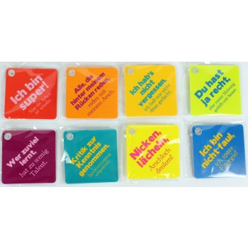 Mini Saugnapfschild mit Spruch