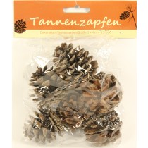 Grosse Tannenzapfen
