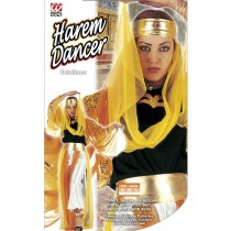 Orientalisches Haremsdamenkostüm