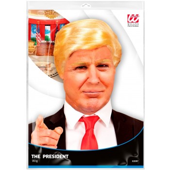 Perruque Mr. President