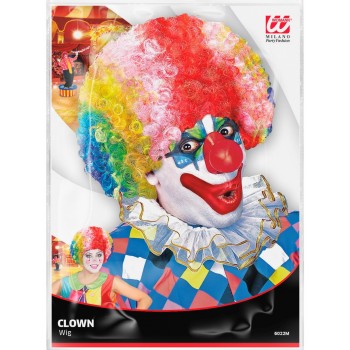 Perruque multicolor unisex