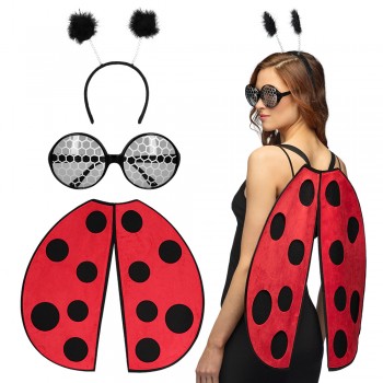 Set Ladybug ailes, diadème et lunettes