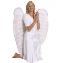 Aile d'ange blanc
