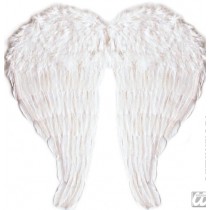 Aile d'ange blanc