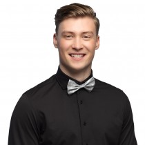 Noeud papillon glitter argent