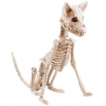 Squelette de chien déco