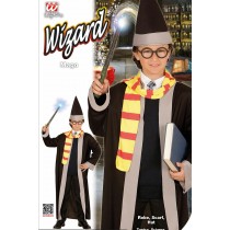 Costume magicien