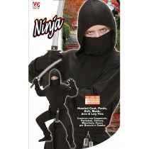 Costume Ninja