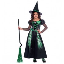 Costume Spider Witch