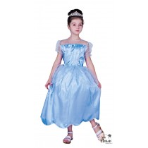 Costume de princesse